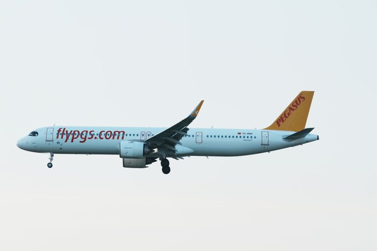 Pegasus 9 Euro Kampanyaları: Fırsatları Anlamak ve Akıllıca Değerlendirmek
