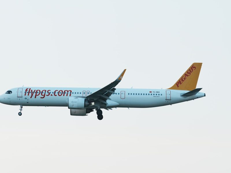 Pegasus 9 Euro Kampanyaları: Fırsatları Anlamak ve Akıllıca Değerlendirmek