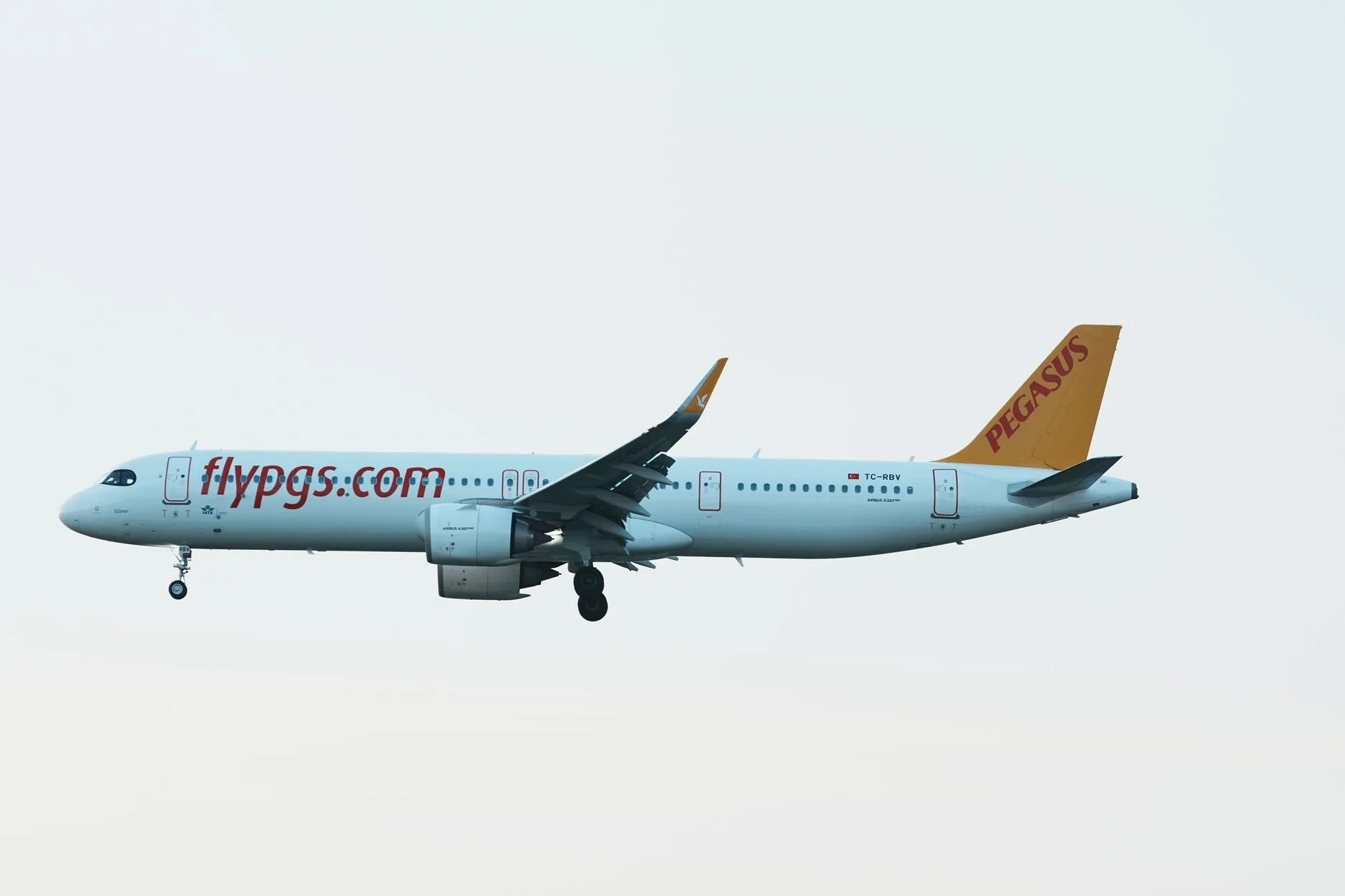 Pegasus 9 Euro Kampanyaları: Fırsatları Anlamak ve Akıllıca Değerlendirmek
